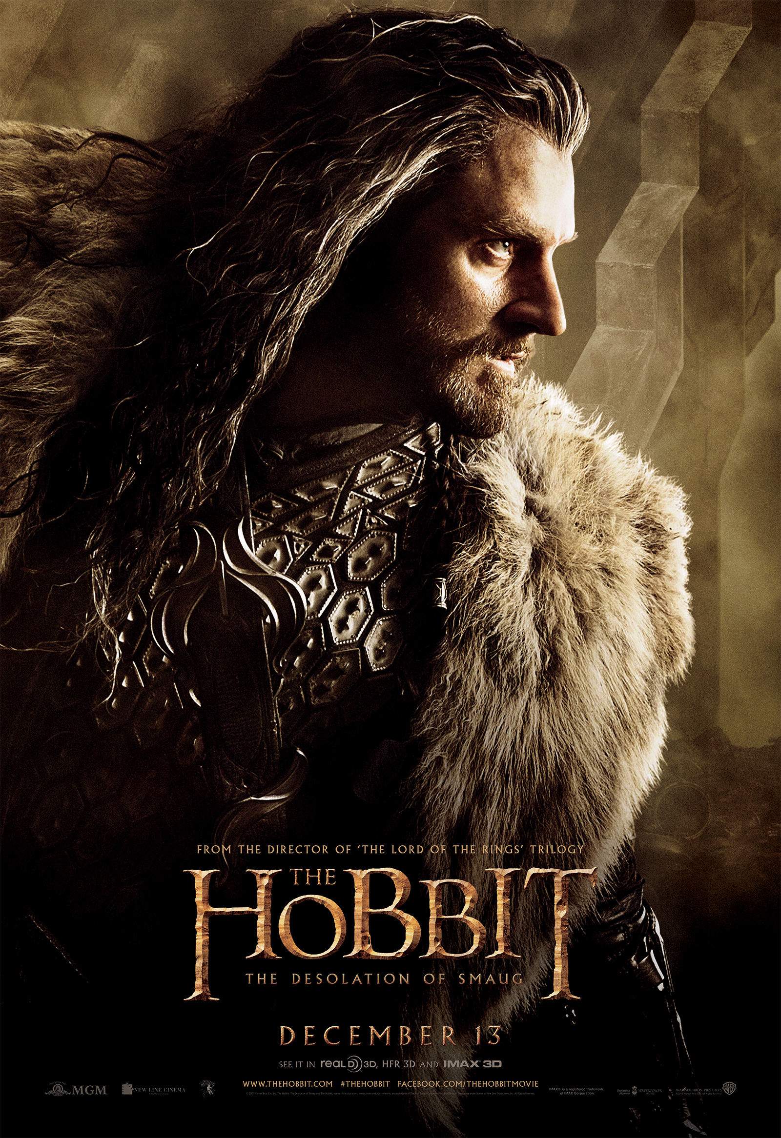 Le Hobbit : La Désolation de Smaug | Affiche du film