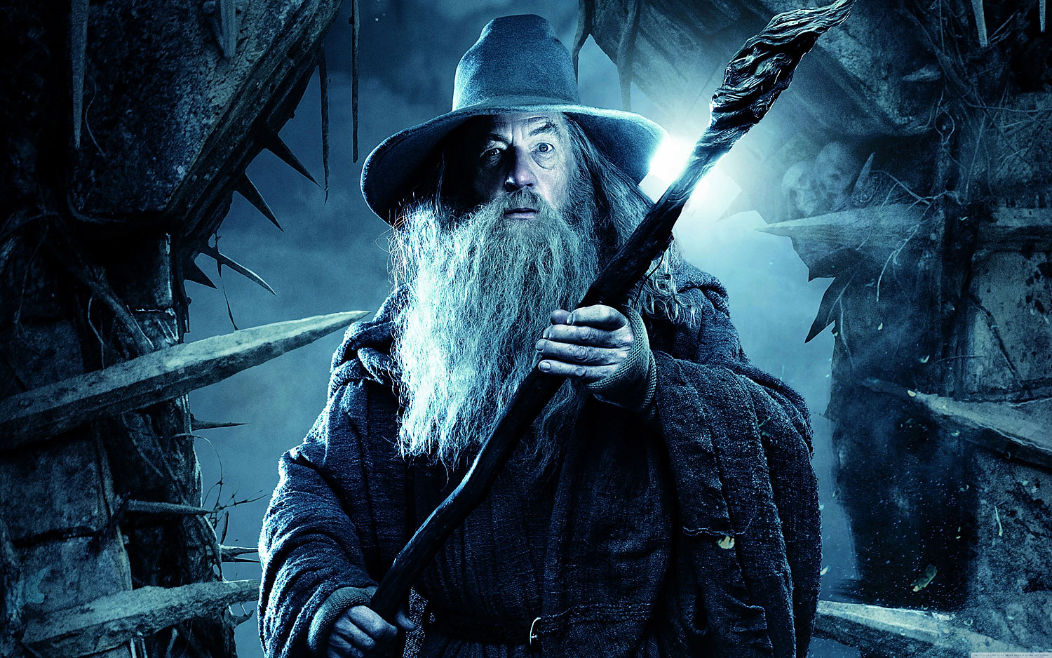 Le Hobbit : La Désolation de Smaug | Fond d'écran
