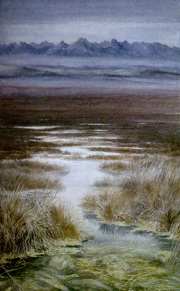 Alan Lee | Le Seigneur des Anneaux | The Dead Marshes