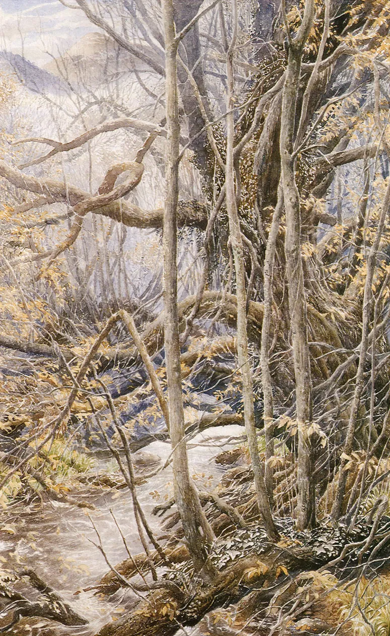 Alan Lee | Le Seigneur des Anneaux | Old Man Willow