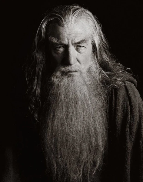 Le Seigneur des Anneaux – La Communauté de l'Anneau : Gandalf.