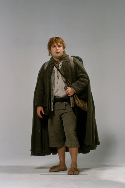 Le Seigneur des Anneaux – La Communauté de l'Anneau : Samsaget Gamgie.