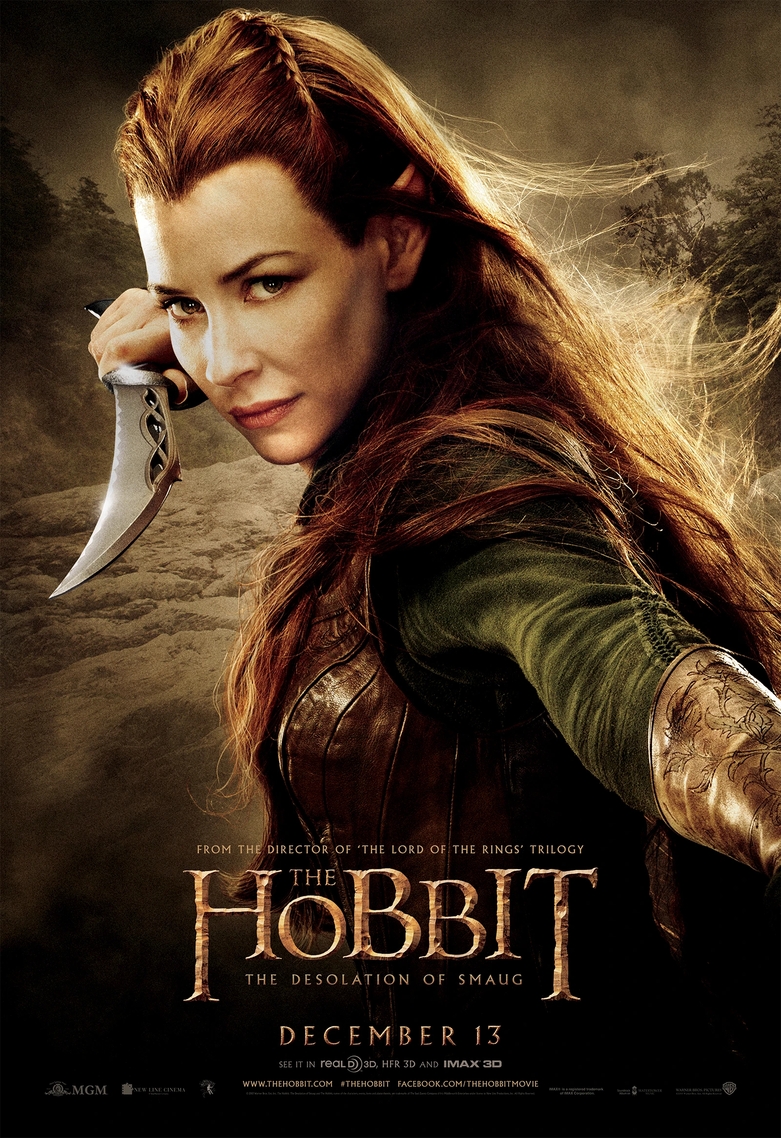 Le Hobbit – La Désolation de Smaug : Affiche du film 11.