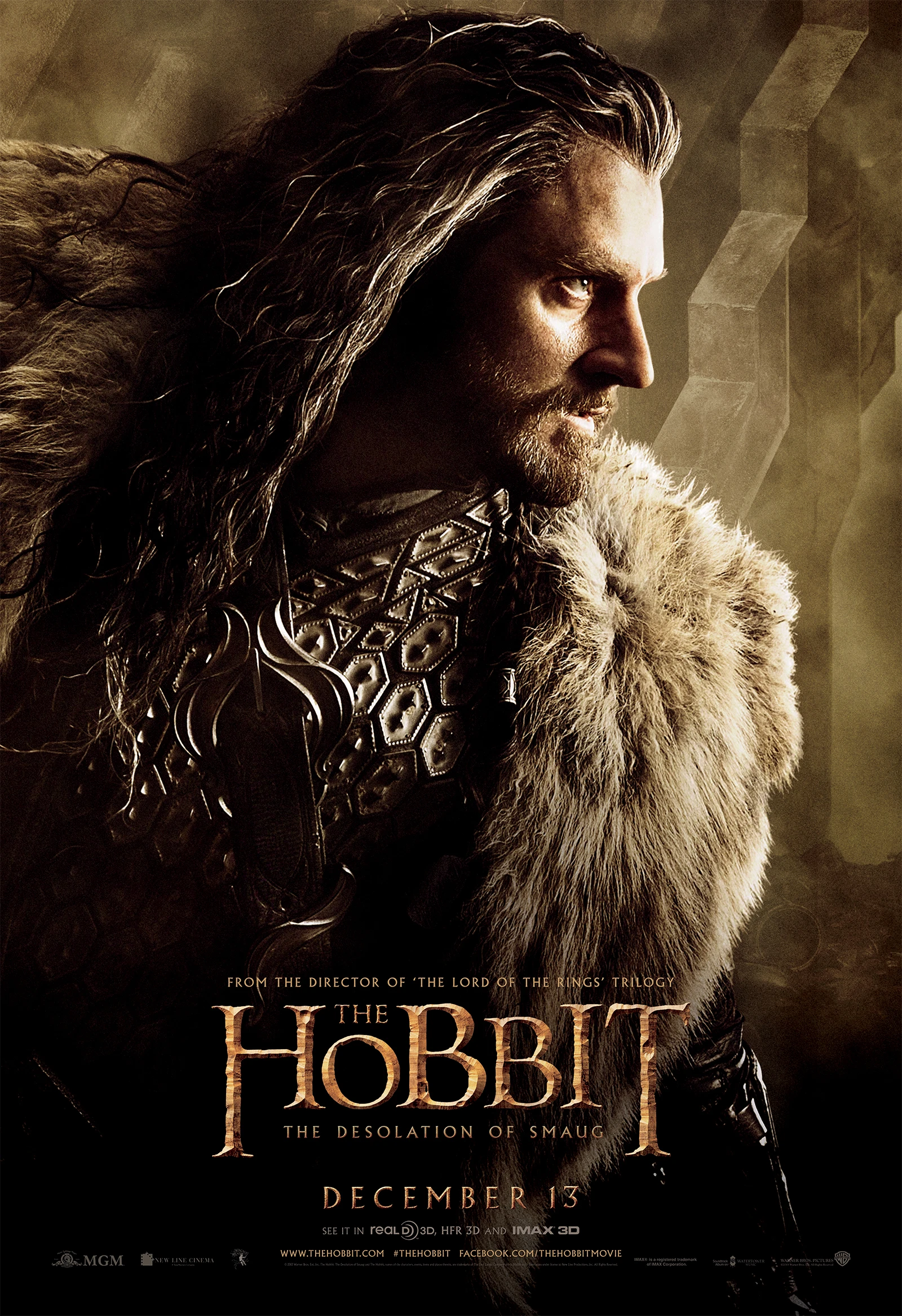 Le Hobbit – La Désolation de Smaug : Affiche du film 5.