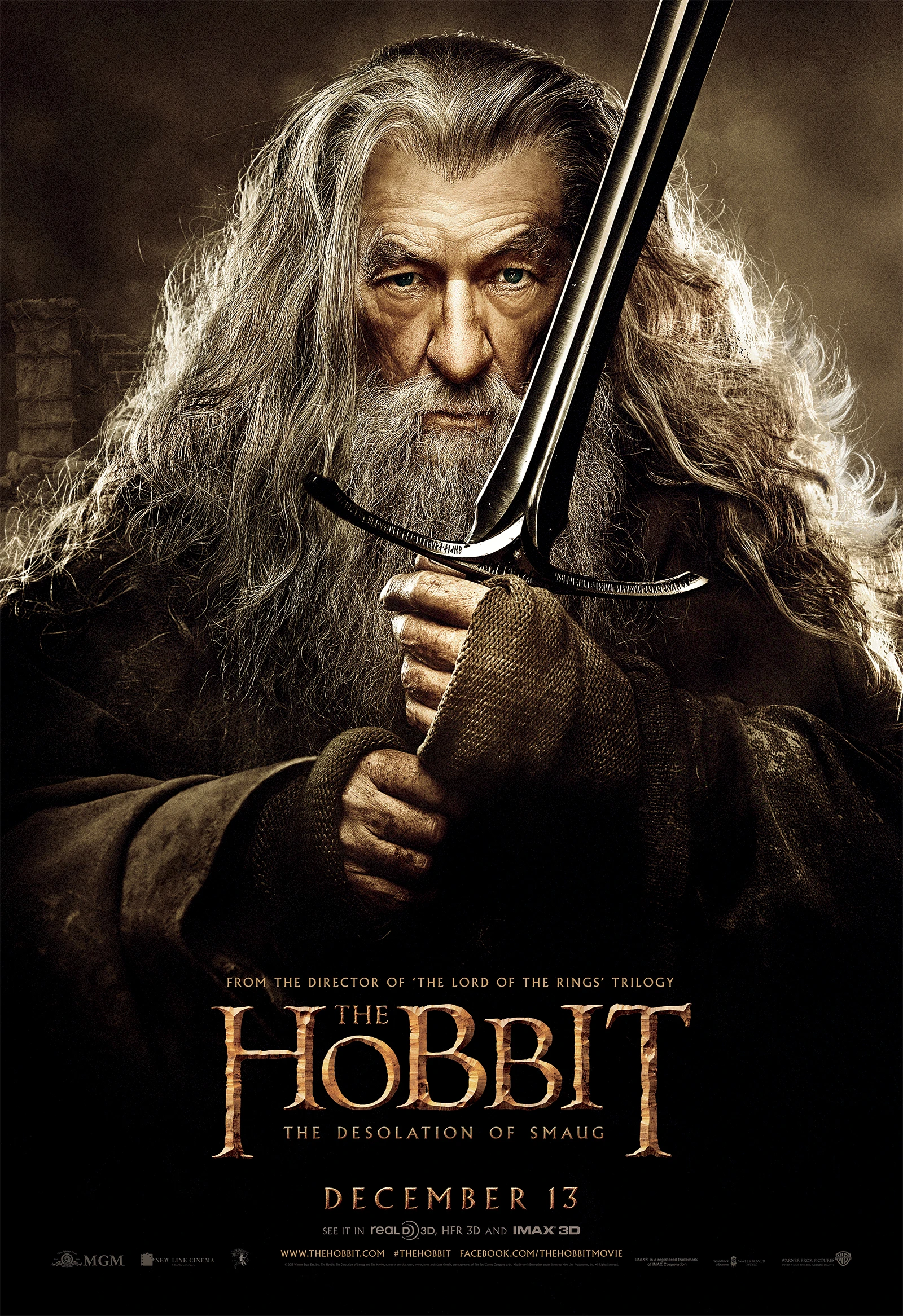 Le Hobbit – La Désolation de Smaug : Affiche du film 6.