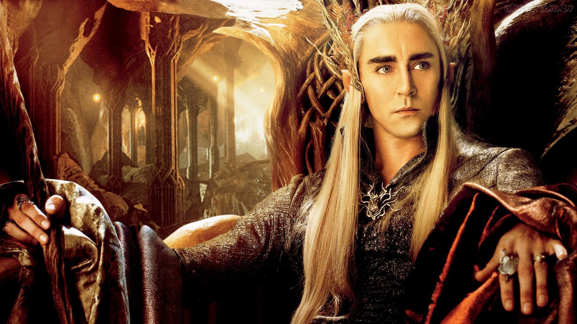 La Désolation de Smaug : Fond d'écran 12.