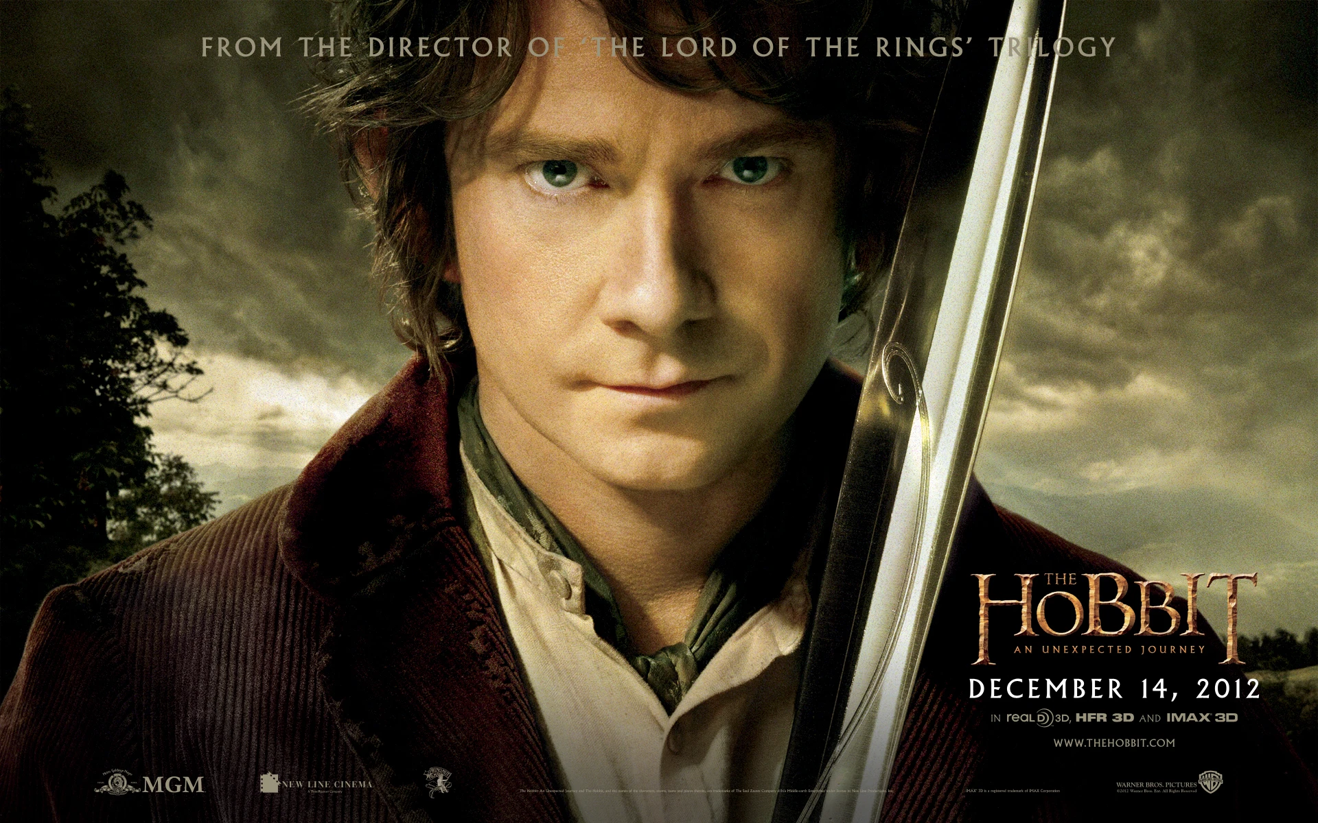 Le Hobbit – Un Voyage Inattendu : Affiche du film 6.