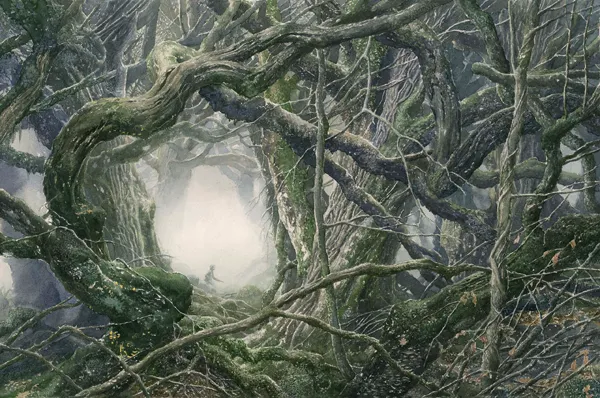 Illustration : Mirkwood, par Alan Lee.