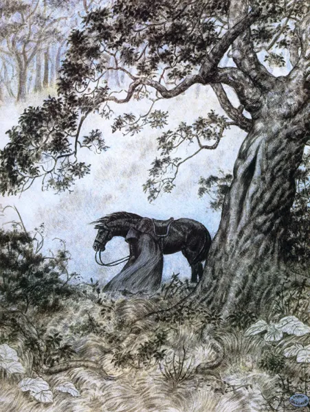 Illustration : The Black Rider, par Inger Edelfeldt.