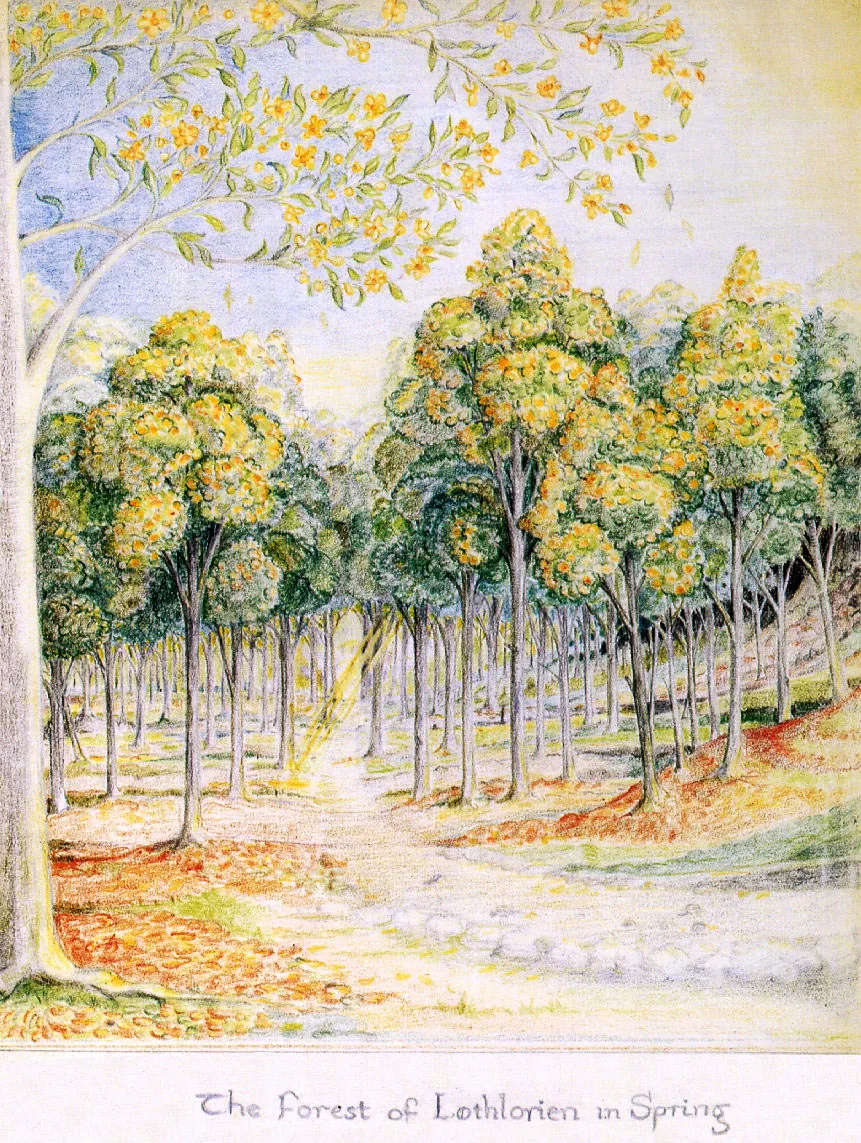 Illustration : The Forest of Lothlorien in Spring, par J.R.R. Tolkien.