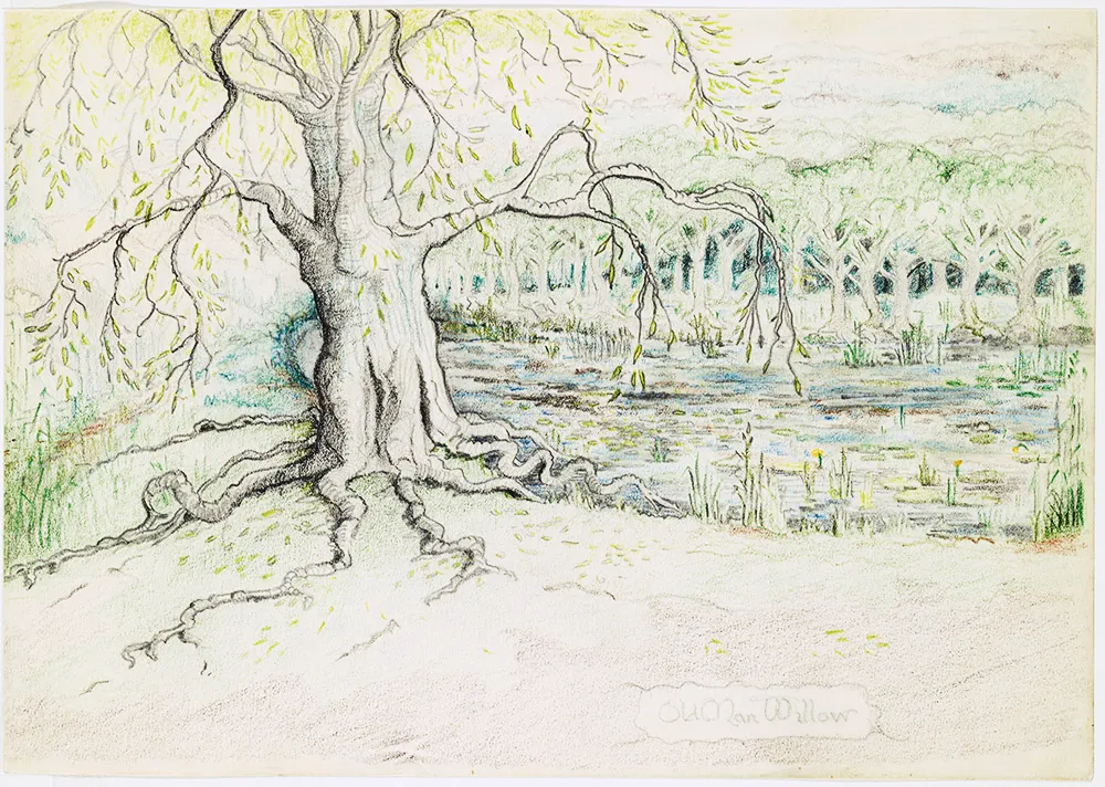 Illustration : Old Man Willow, par J.R.R. Tolkien.