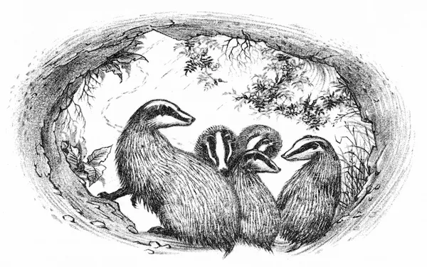 Illustration de Pauline Diana Baynes, pour l'édition anglaise de 1962 du recueil de poèmes de J.R.R. Tolkien Les Aventures de Tom Bombadil (The Adventures of Tom Bombadil), publié par George Allen and Unwin.
