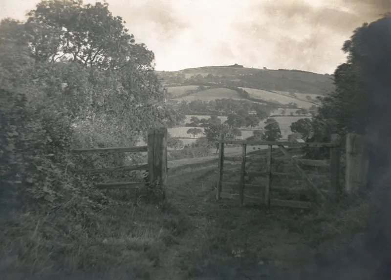 Photo : Rednal Hill, lieu bucolique aux airs de Comté, où séjourne la famille Tolkien en novembre 1904.