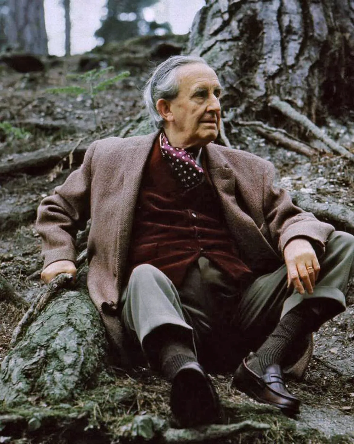 Photo : John Ronald Reuel Tolkien assis sous un arbre.