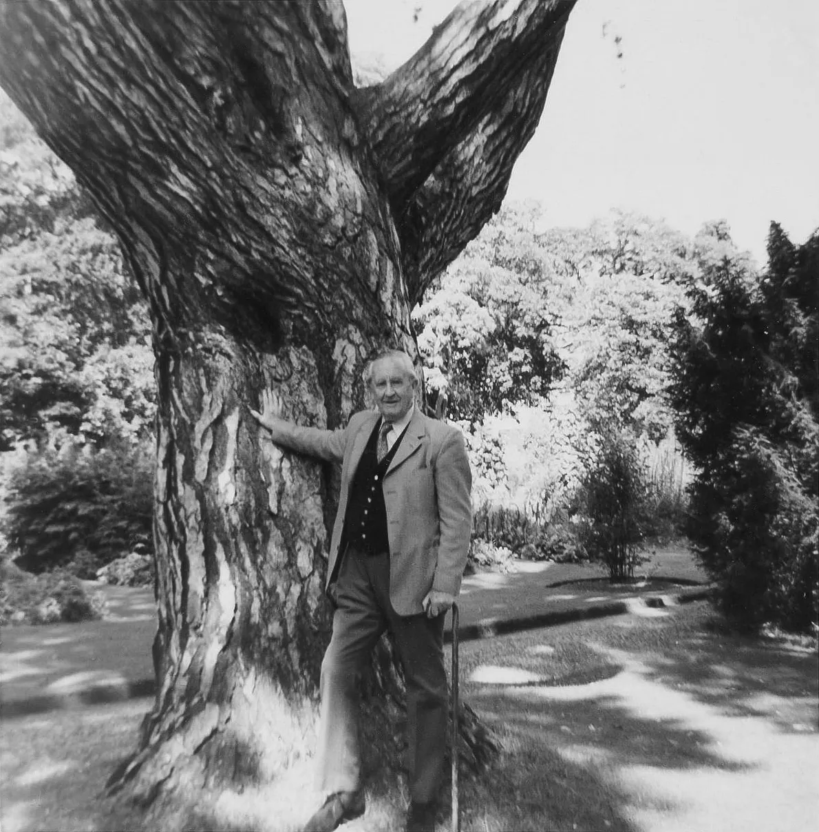Photo : John Ronald Reuel Tolkien sous son arbre fétiche du jardin botanique de l'université d'Oxford, 9 août 1973.